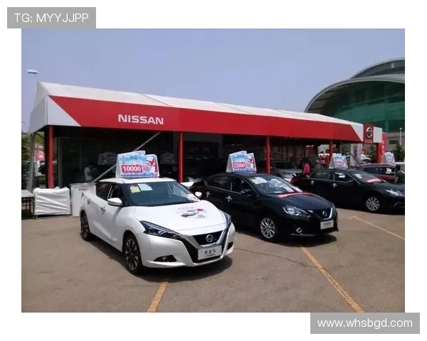 成都网球队在世锦赛上的拼搏历程与荣耀时刻全景回顾